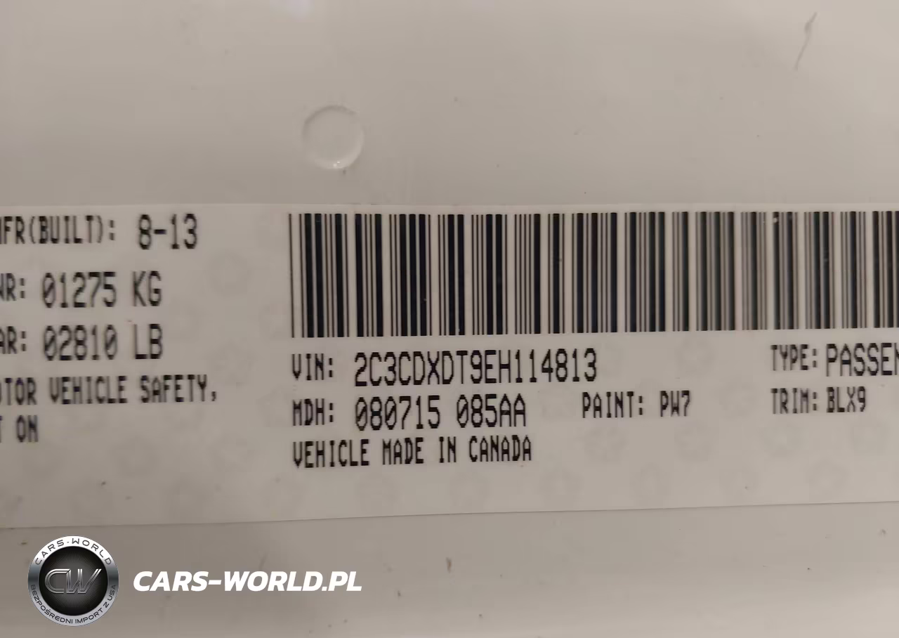 2014 Dodge Charger R-T Plus VIN:2C3CDXDT9EH114813 - 9
