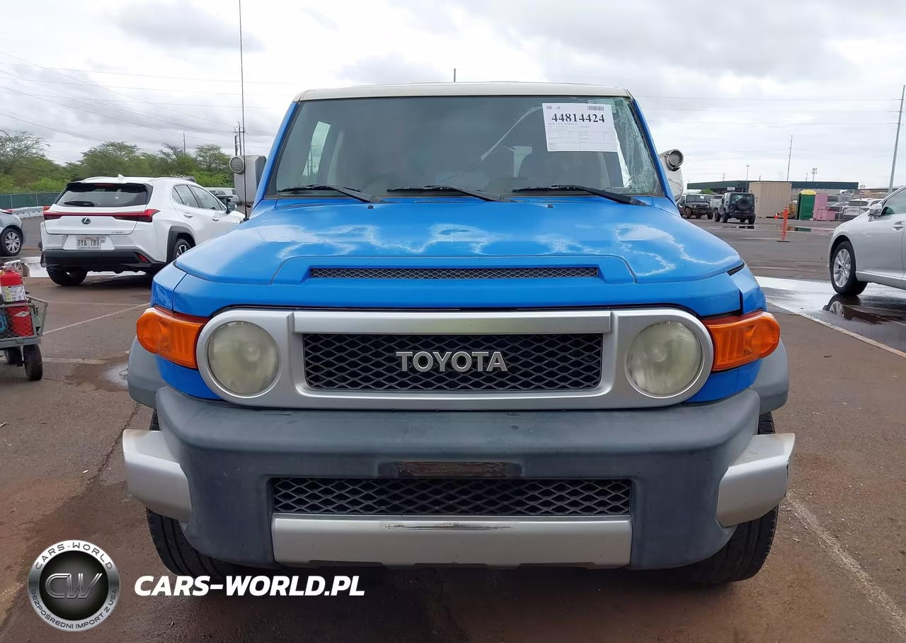 2007 Toyota Fj Cruiser VIN:JTEZU11FX70014613 - 12
