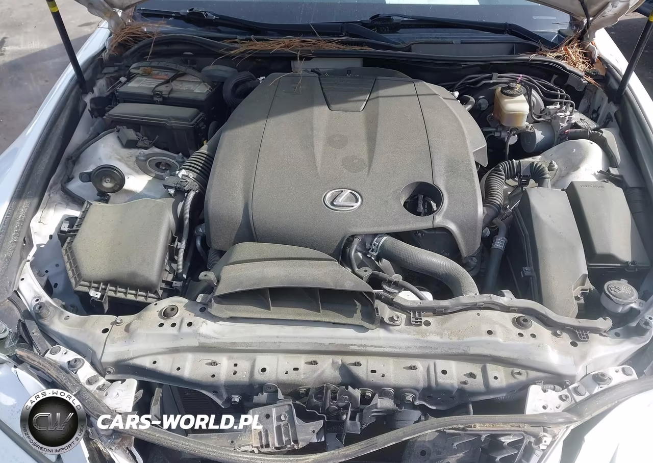 2014 Lexus Is 250 VIN:JTHBF1D21E5022025 - 10