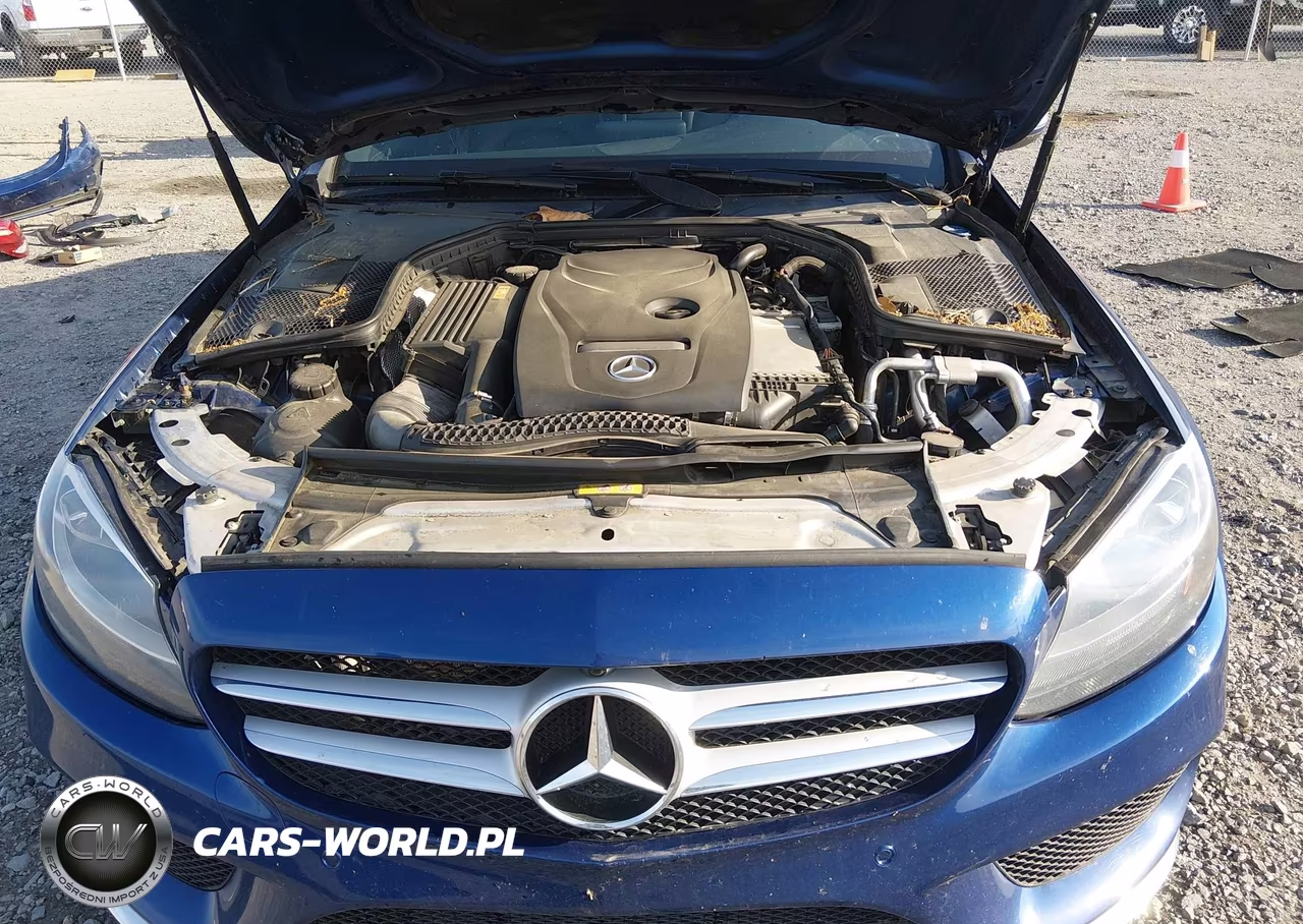 2017 Mercedes-Benz C 300 Sport VIN:55SWF4JB6HU194013 - 10