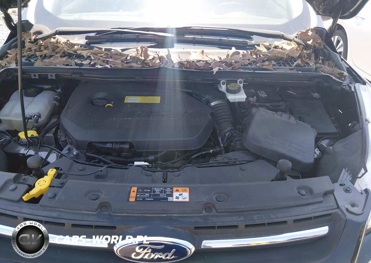 2014 Ford Escape Se VIN:1FMCU0GX0EUC04667 - 10