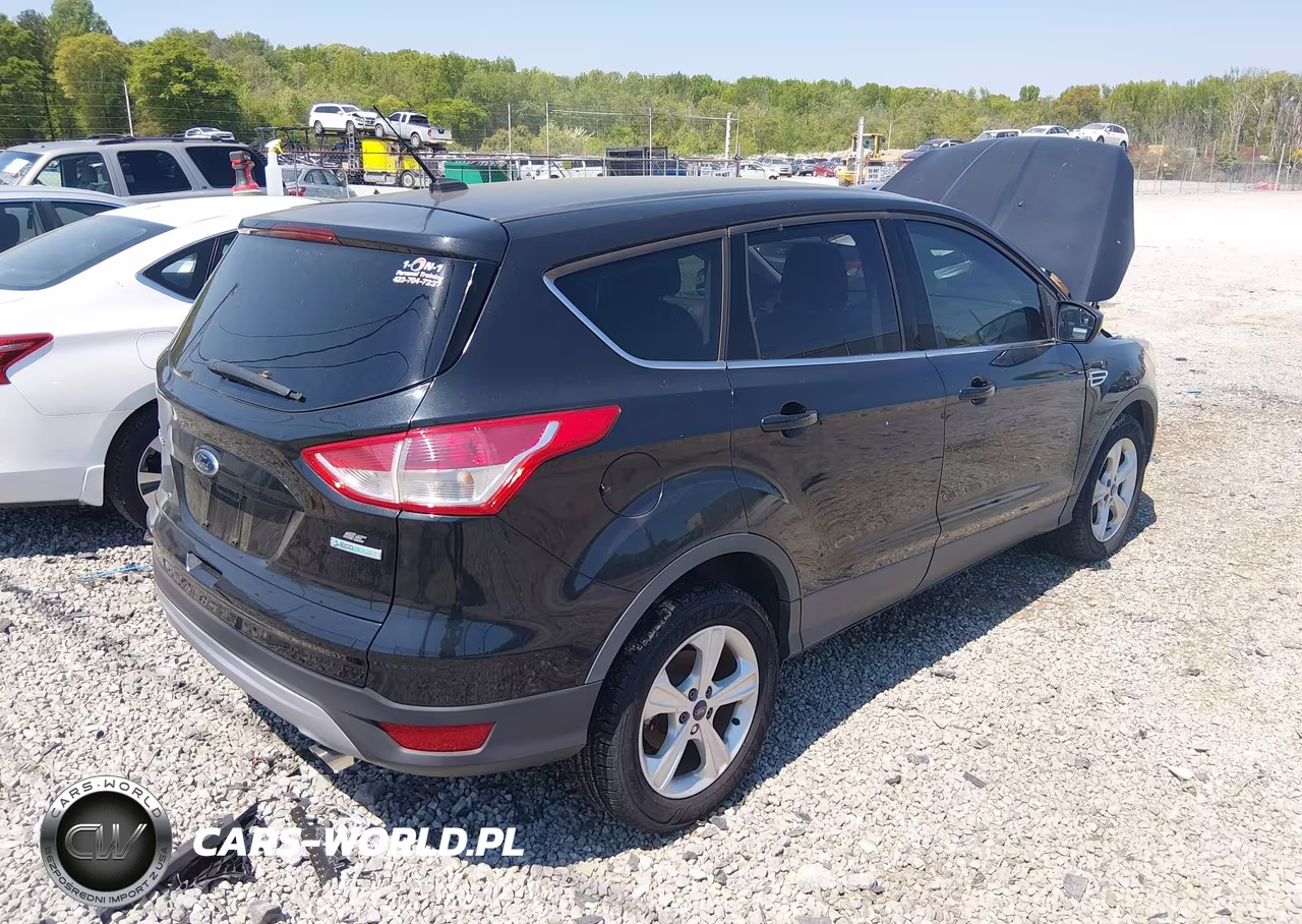 2014 Ford Escape Se VIN:1FMCU0GX0EUC04667 - 4