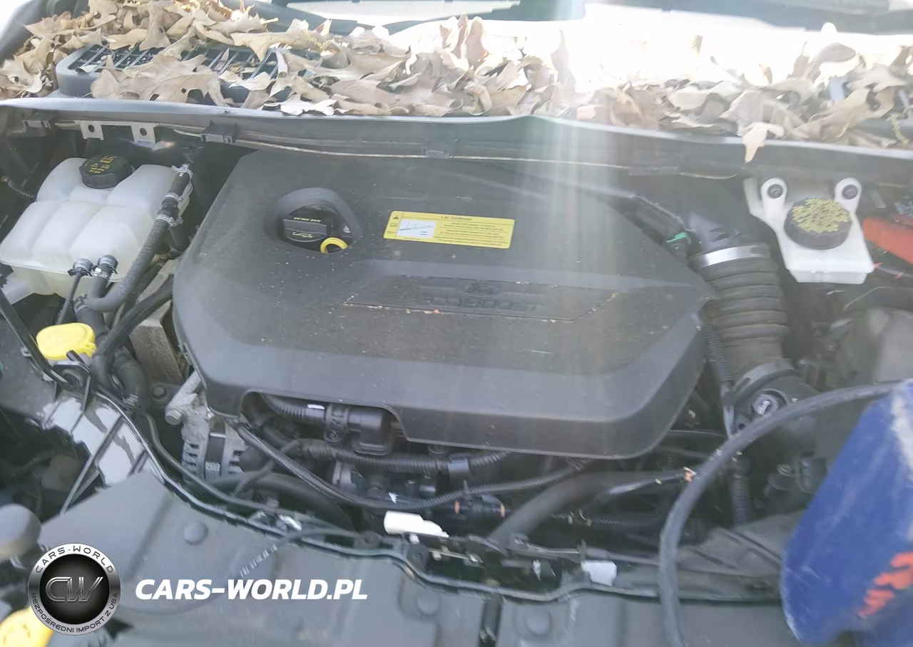 2014 Ford Escape Se VIN:1FMCU0GX0EUC04667 - 6