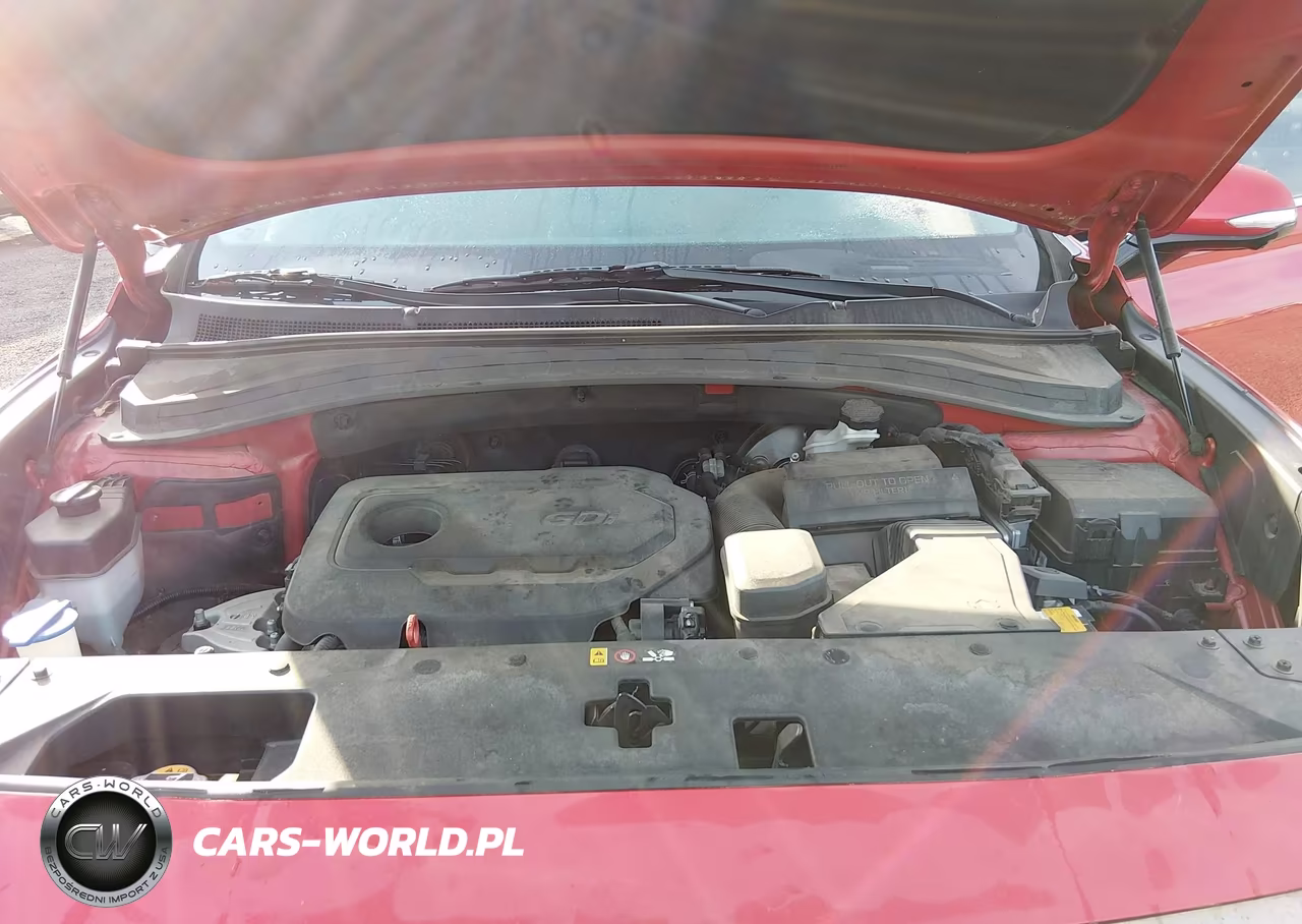 2020 Hyundai Santa Fe Limited VIN:5NMS53AD2LH195827 - 10
