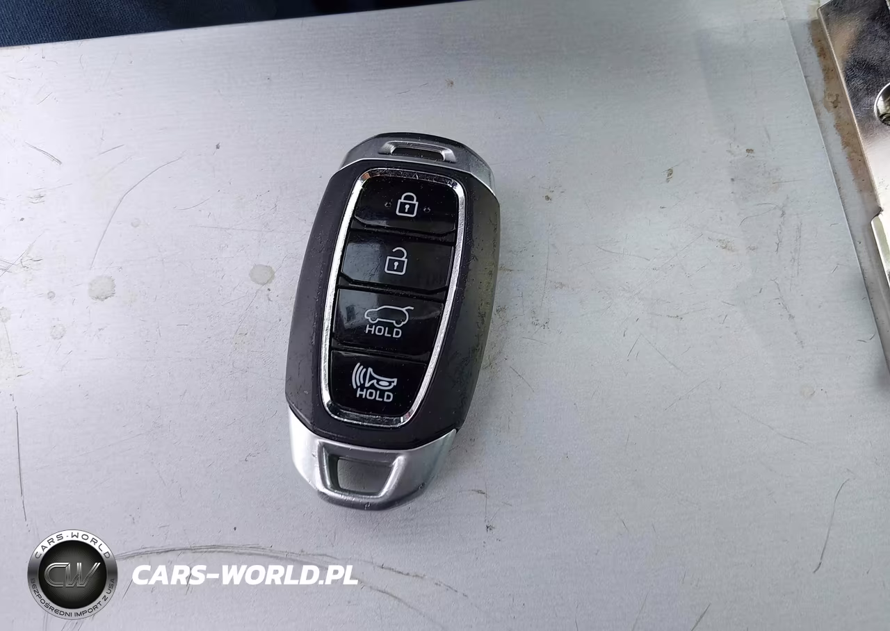 2020 Hyundai Santa Fe Limited VIN:5NMS53AD2LH195827 - 11
