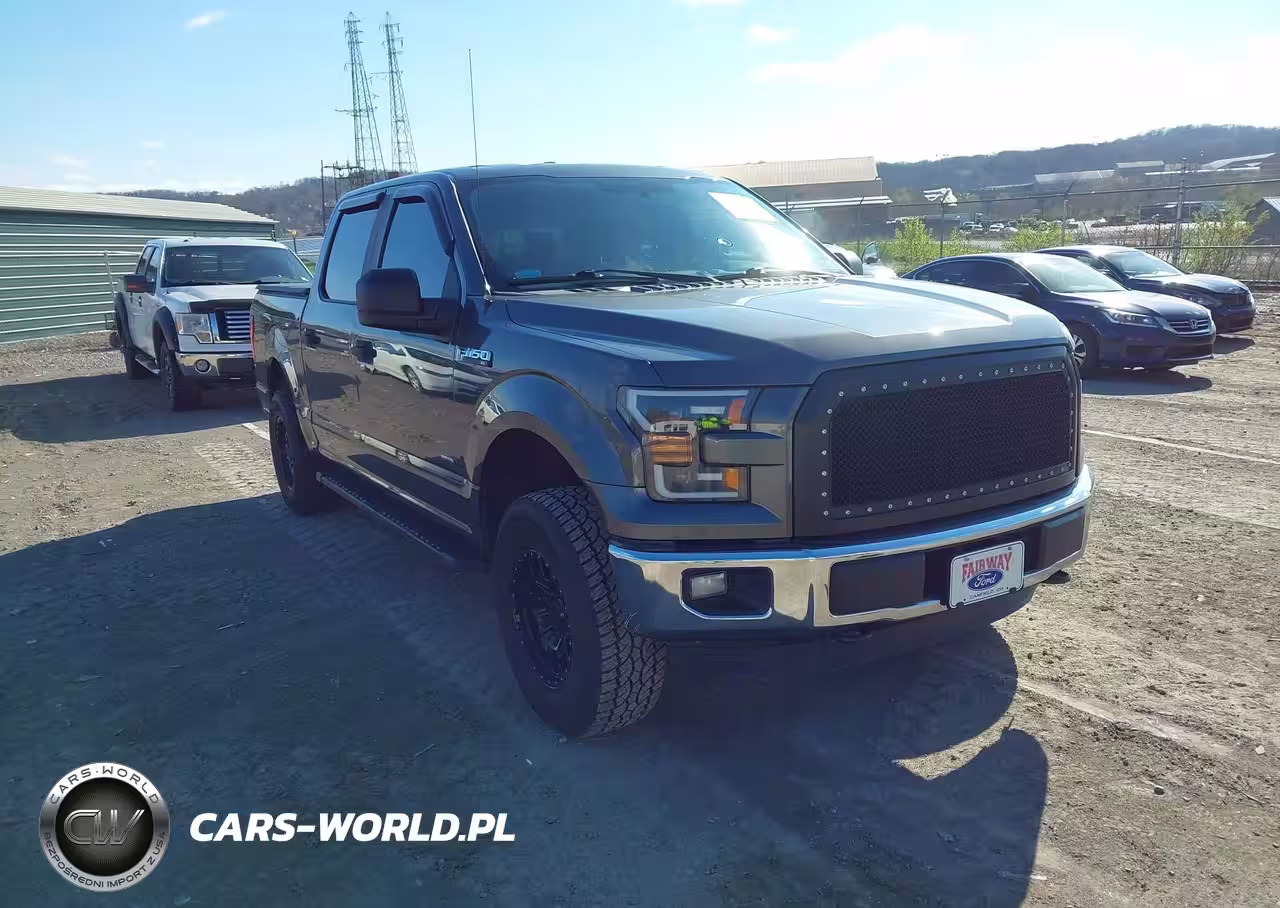 2015 Ford F-150 Xl