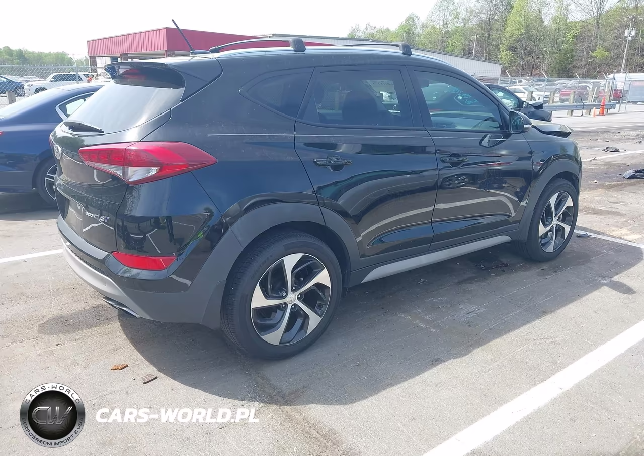 2017 Hyundai Tucson Sport VIN:KM8J33A28HU524400 - 4