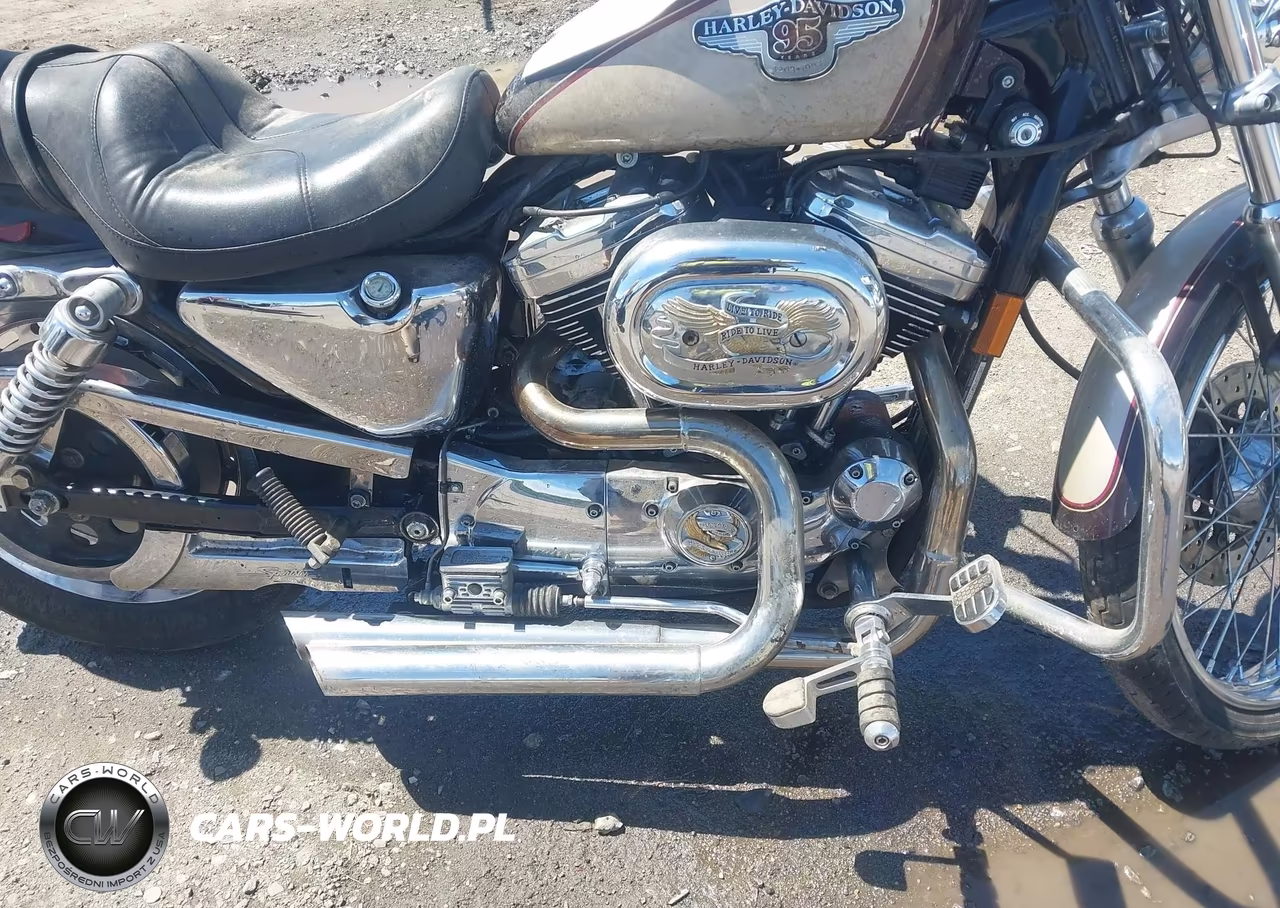 1998 Harley-Davidson Xl1200 C Anniversary VIN:1HD1CGP4XWY210790 - 8