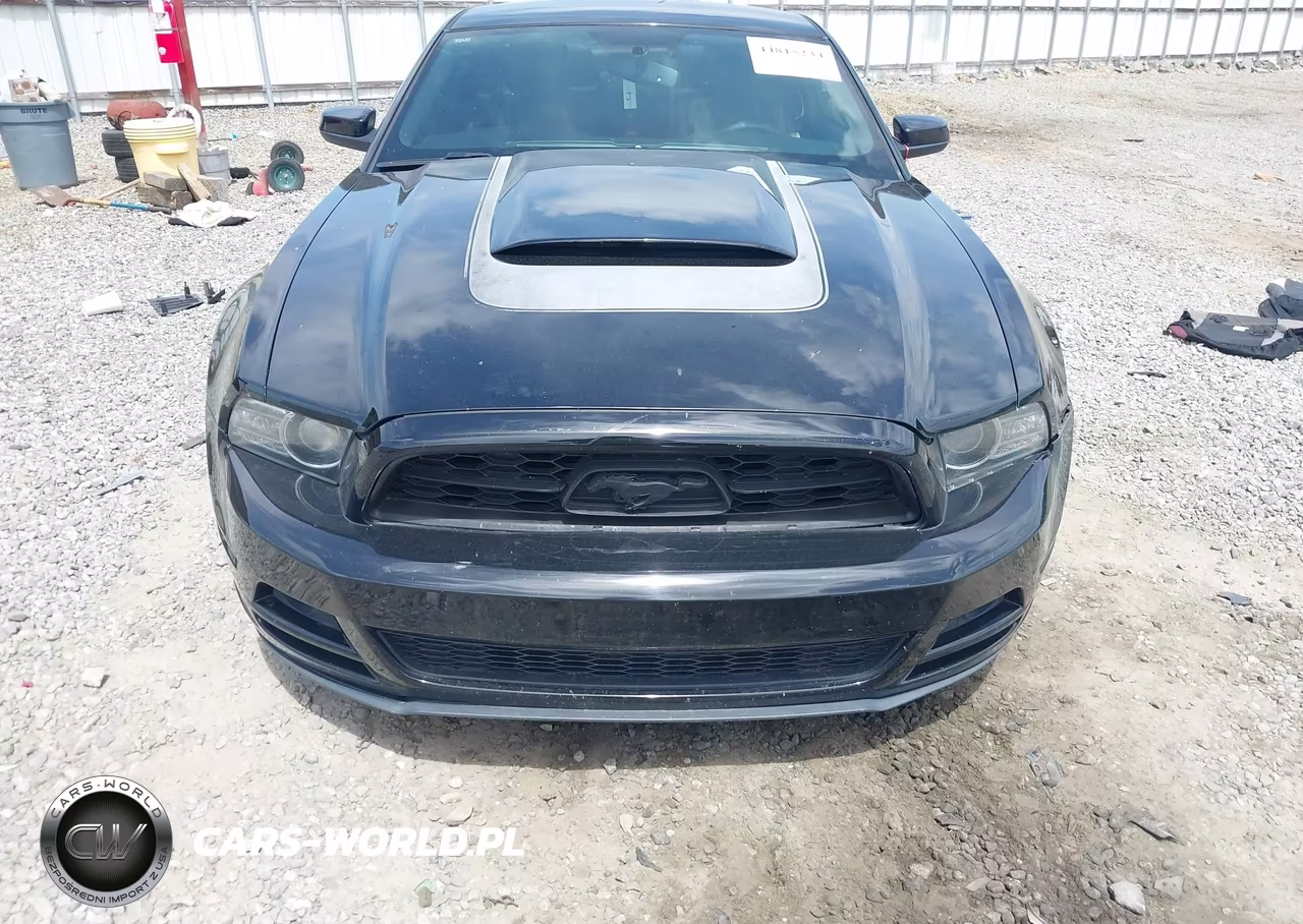 2013 Ford Mustang V6 Premium VIN:1ZVBP8AM4D5269001 - 12