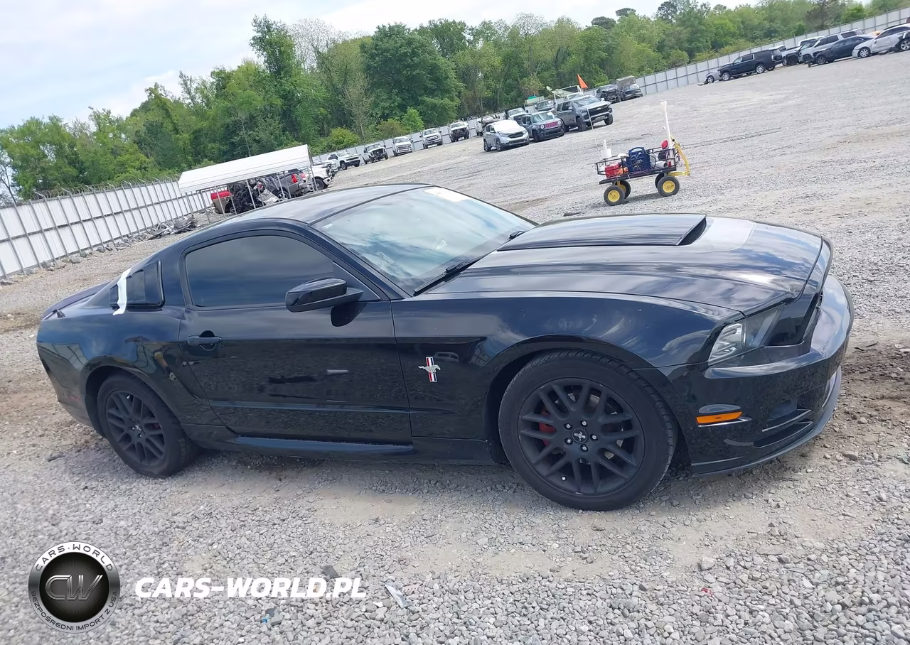2013 Ford Mustang V6 Premium VIN:1ZVBP8AM4D5269001 - 13