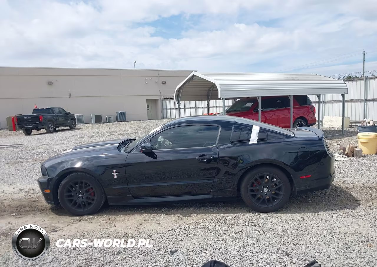 2013 Ford Mustang V6 Premium VIN:1ZVBP8AM4D5269001 - 14