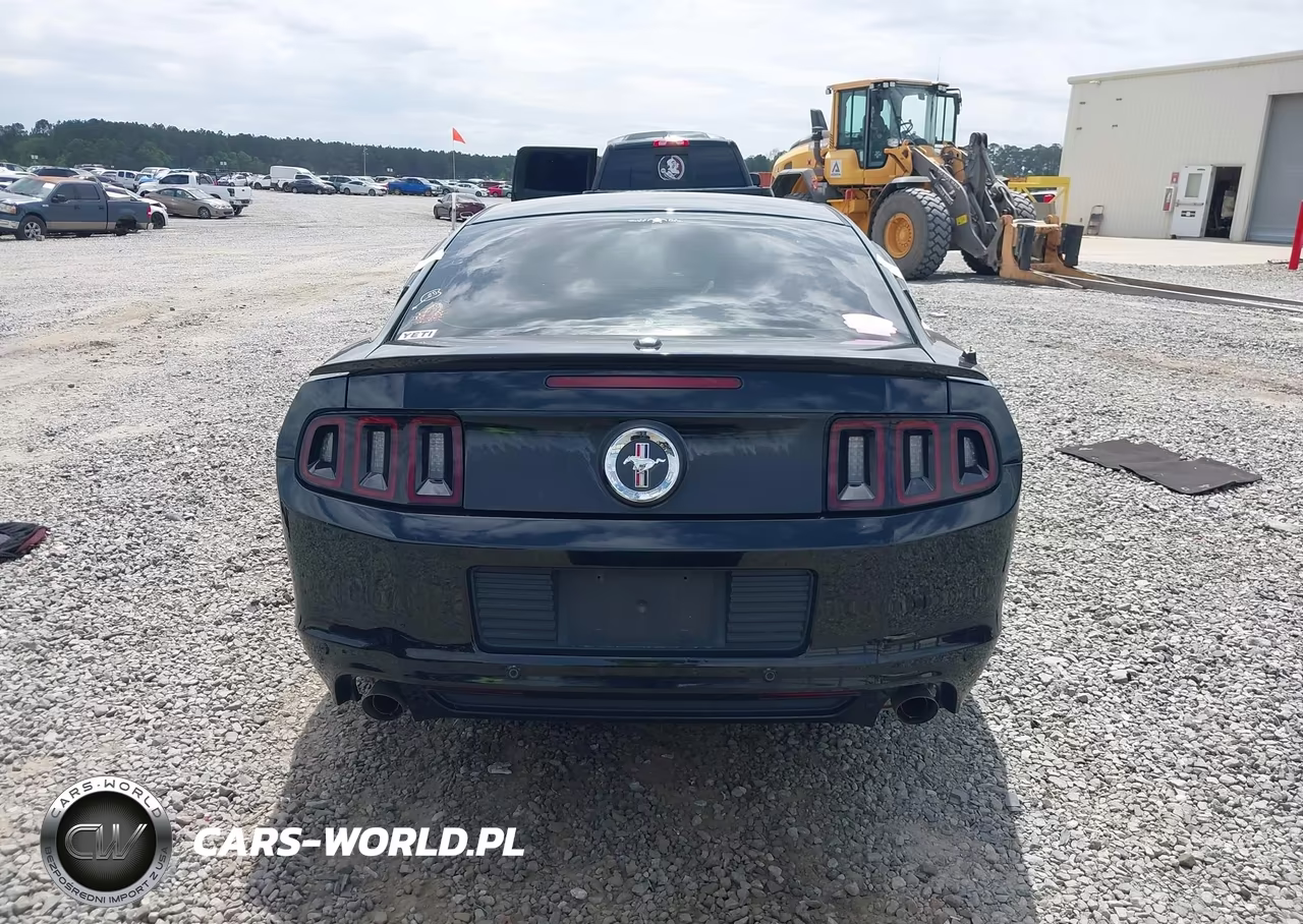 2013 Ford Mustang V6 Premium VIN:1ZVBP8AM4D5269001 - 16