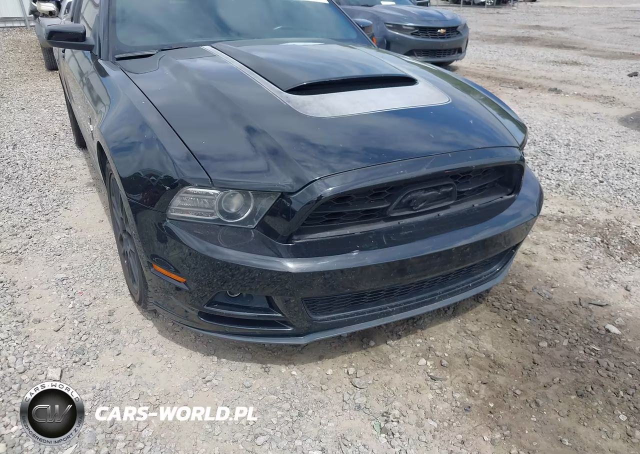 2013 Ford Mustang V6 Premium VIN:1ZVBP8AM4D5269001 - 6