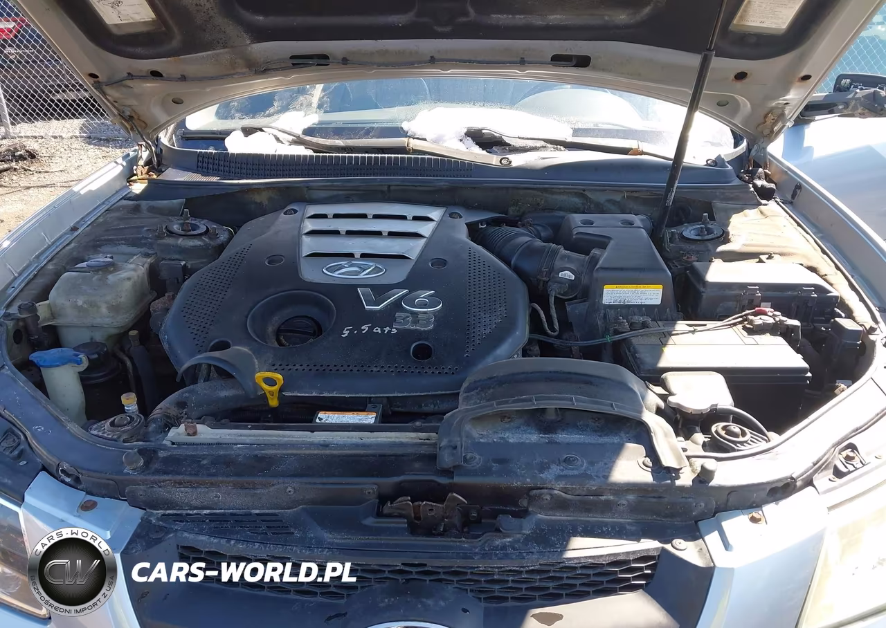 2006 Hyundai Sonata Gls V6-Lx V6 VIN:5NPEU46F86H132030 - 10