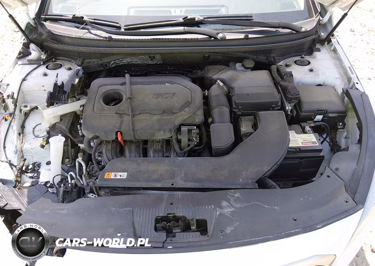 2015 Hyundai Sonata Se VIN:5NPE24AF1FH198724 - 10
