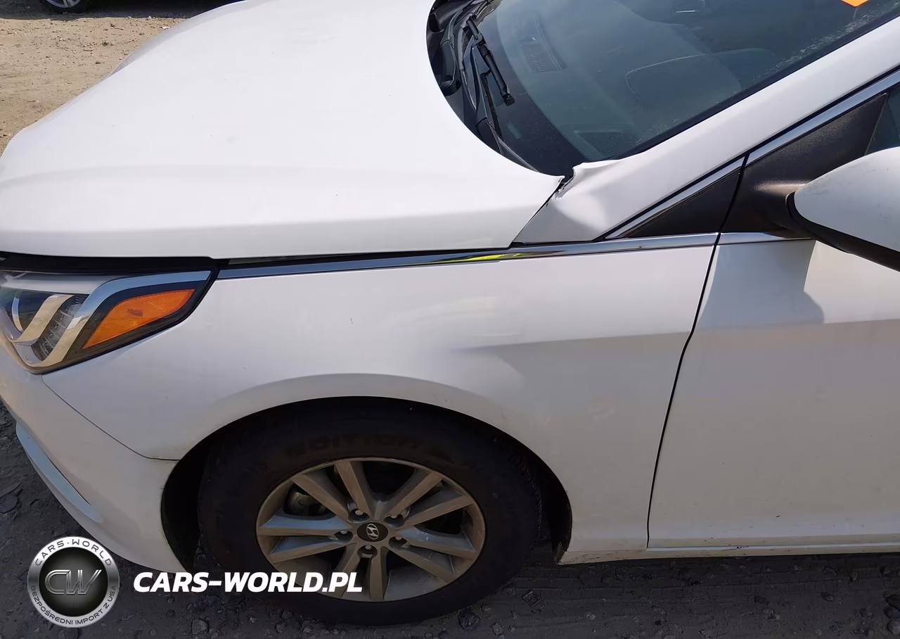 2015 Hyundai Sonata Se VIN:5NPE24AF1FH198724 - 18