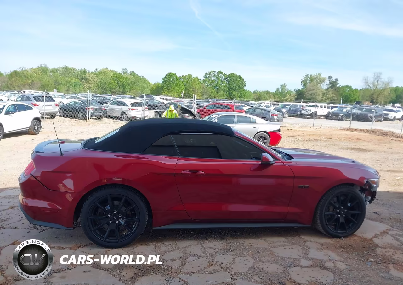 2017 Ford Mustang Gt Premium VIN:1FATP8FF4H5316251 - 14