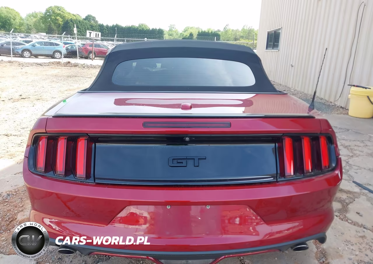 2017 Ford Mustang Gt Premium VIN:1FATP8FF4H5316251 - 17