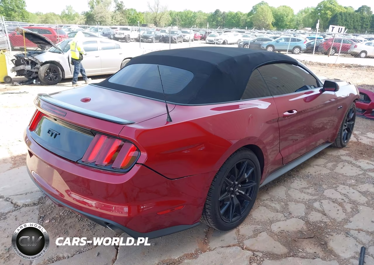 2017 Ford Mustang Gt Premium VIN:1FATP8FF4H5316251 - 4