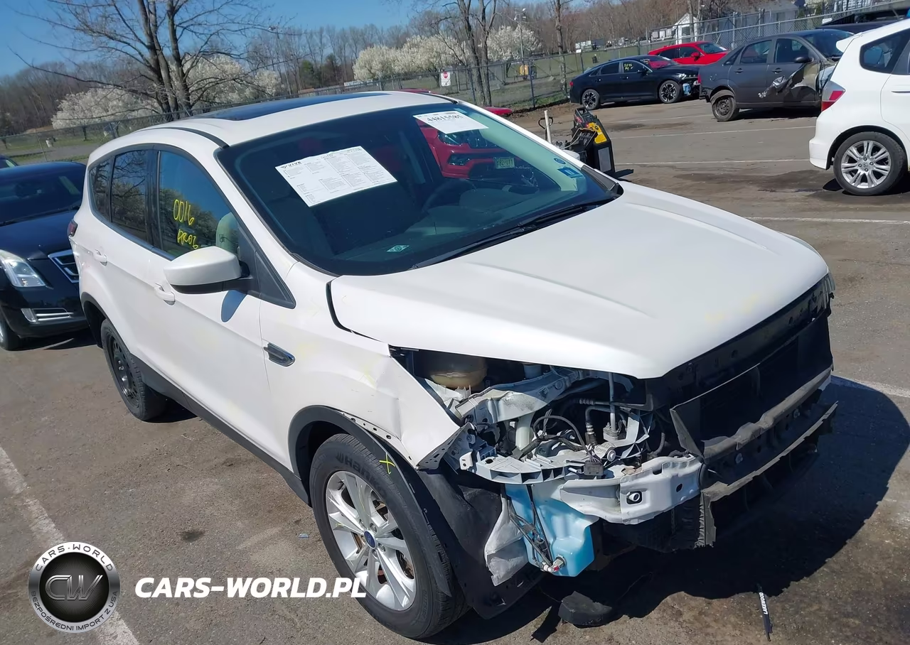 2017 Ford Escape Se