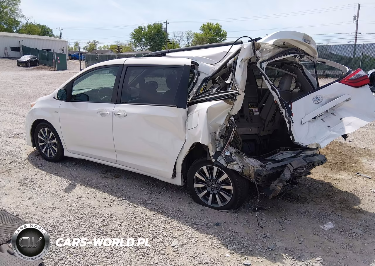 2020 Toyota Sienna Xle Premium VIN:5TDDZ3DC2LS242495 - 3