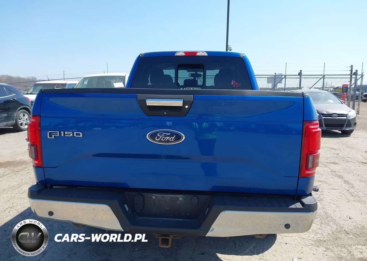 2017 Ford F-150 Xlt VIN:1FTEX1EP1HFA66062 - 17