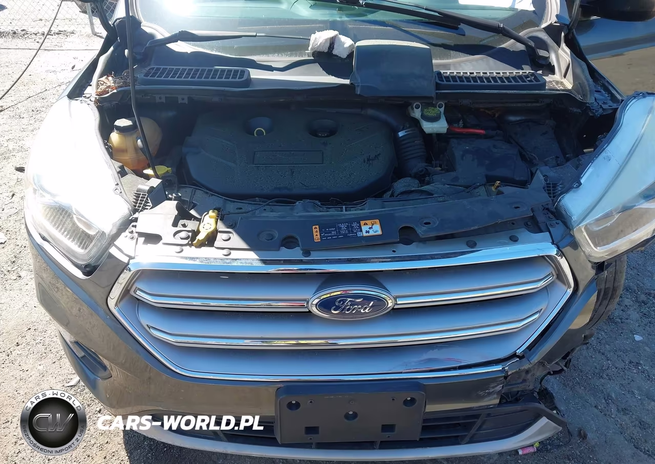 2017 Ford Escape Se VIN:1FMCU0G91HUF03266 - 10