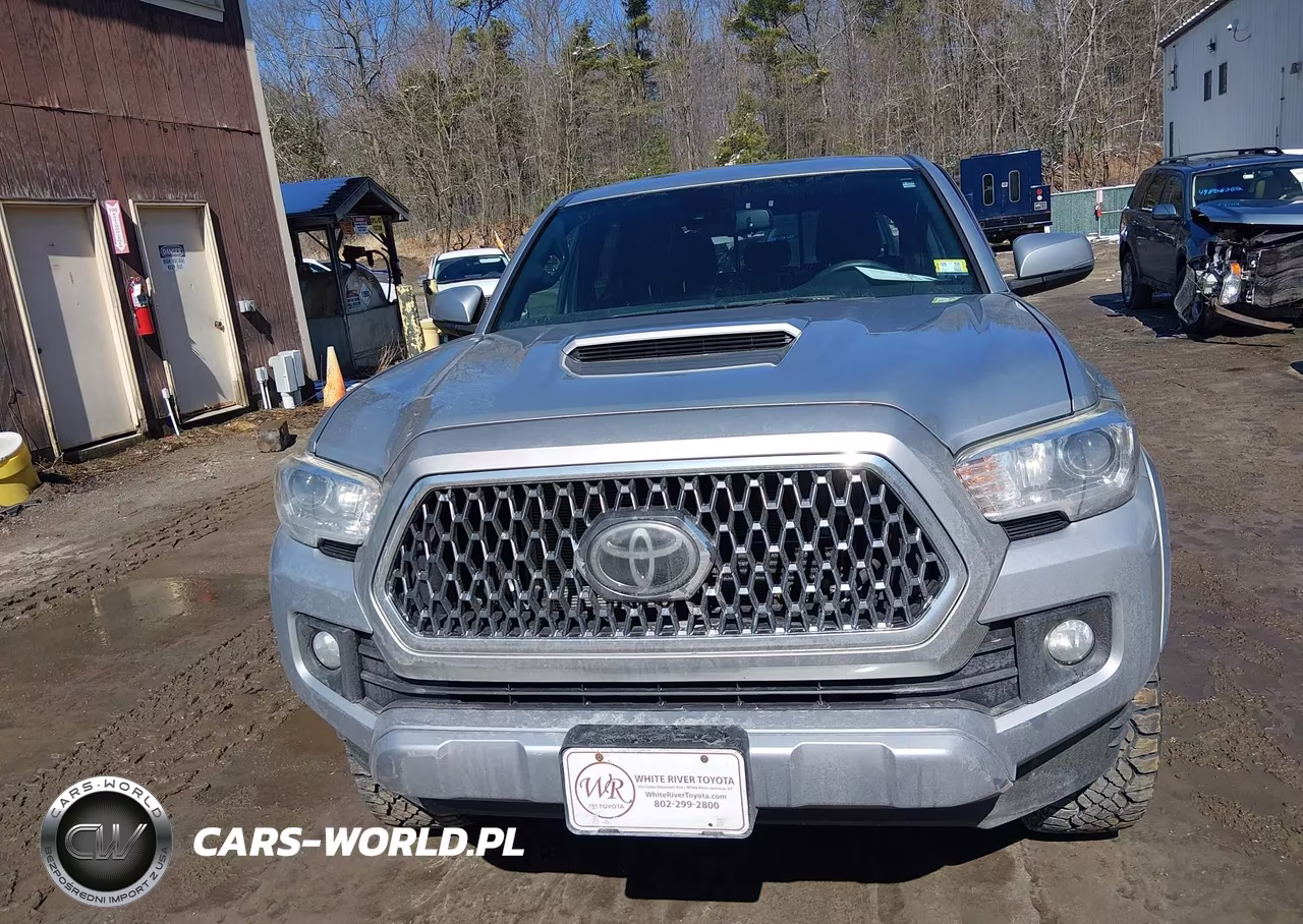 2019 Toyota Tacoma Trd Sport VIN:3TMCZ5AN0KM192076 - 12