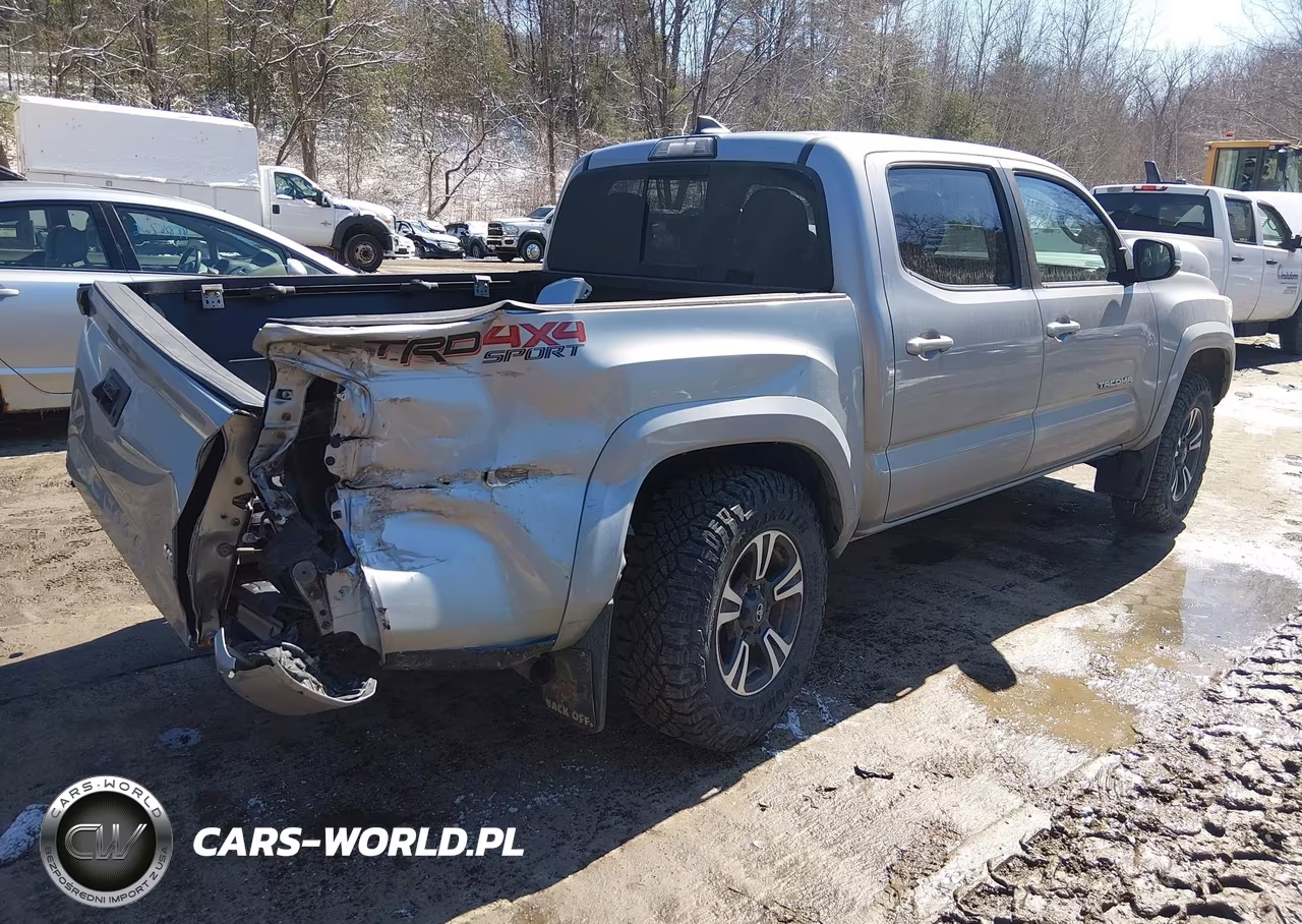2019 Toyota Tacoma Trd Sport VIN:3TMCZ5AN0KM192076 - 4