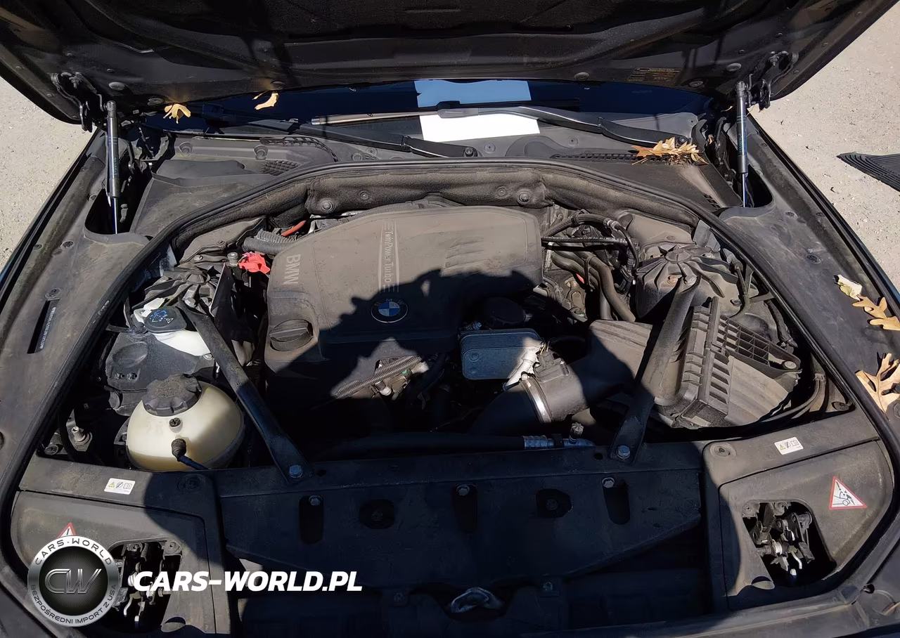 2014 BMW 528I xDrive VIN:WBA5A7C5XED613520 - 10