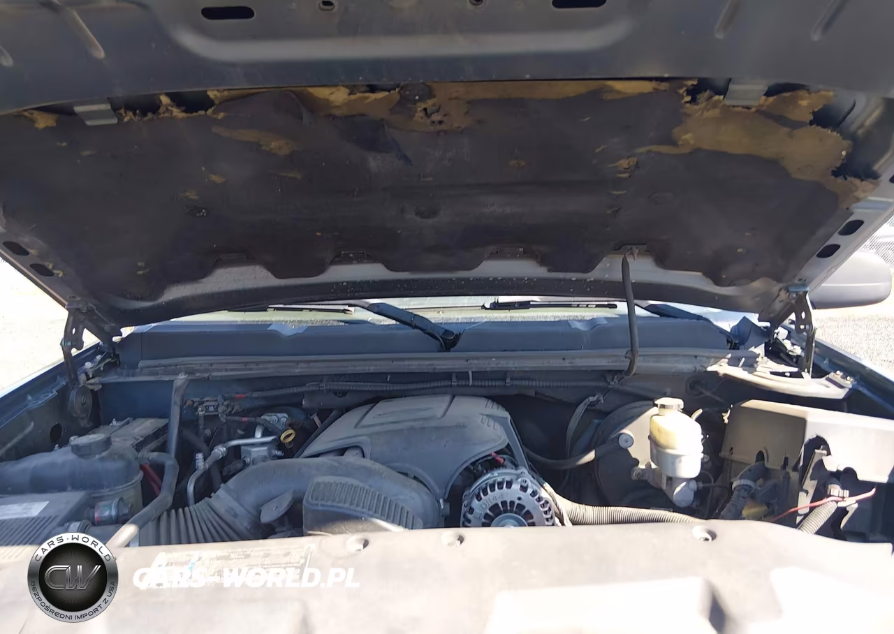 2007 Chevrolet Silverado 1500 Lt1 VIN:2GCEC13J671694991 - 10