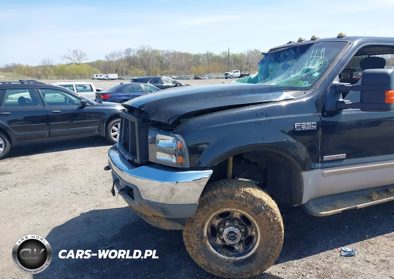 2003 Ford F-250 Lariat-Xl-Xlt VIN:1FTNX21P93ED64255 - 6