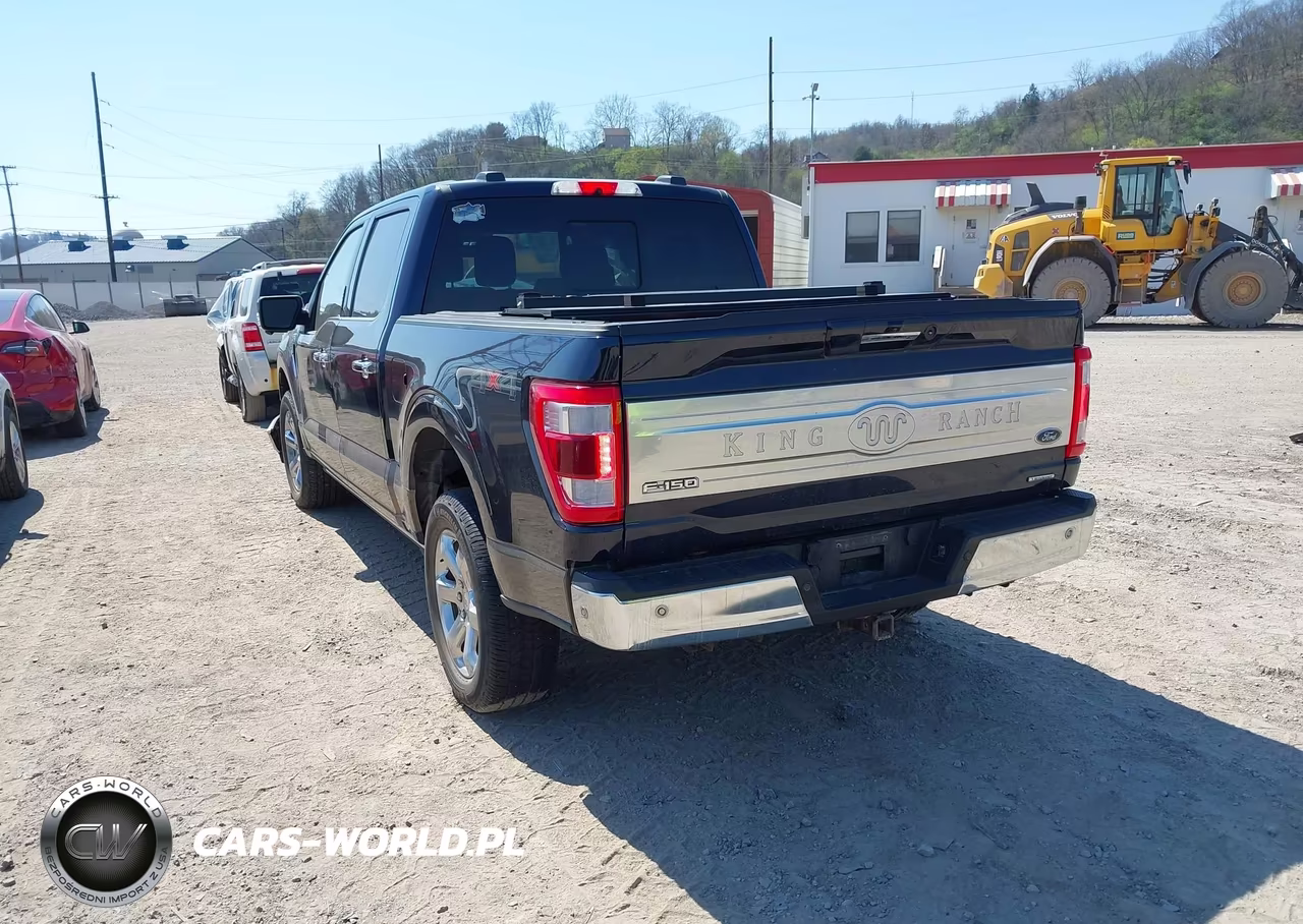 2022 Ford F-150 King Ranch VIN:1FTFW1E88NFA93383 - 3