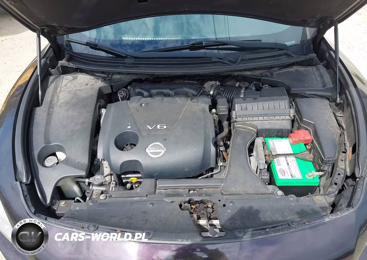 2014 Nissan Maxima 3.5 Sv VIN:1N4AA5AP8EC496719 - 10