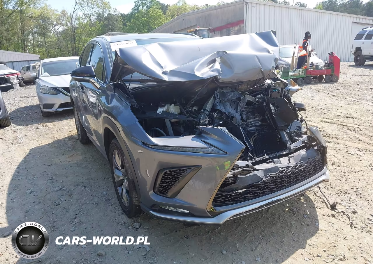 2021 Lexus Nx 300 F Sport
