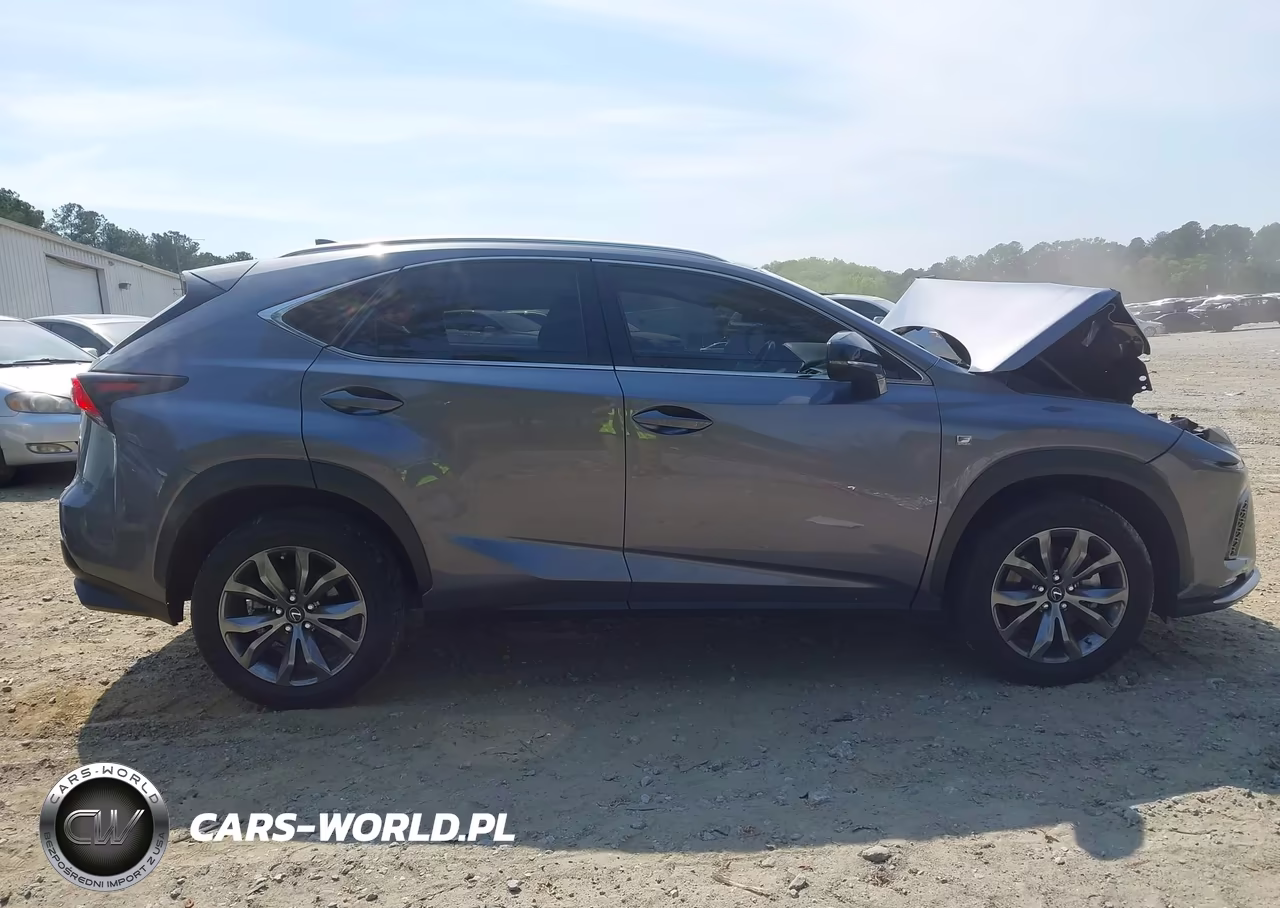 2021 Lexus Nx 300 F Sport VIN:JTJSARBZ8M2199442 - 13