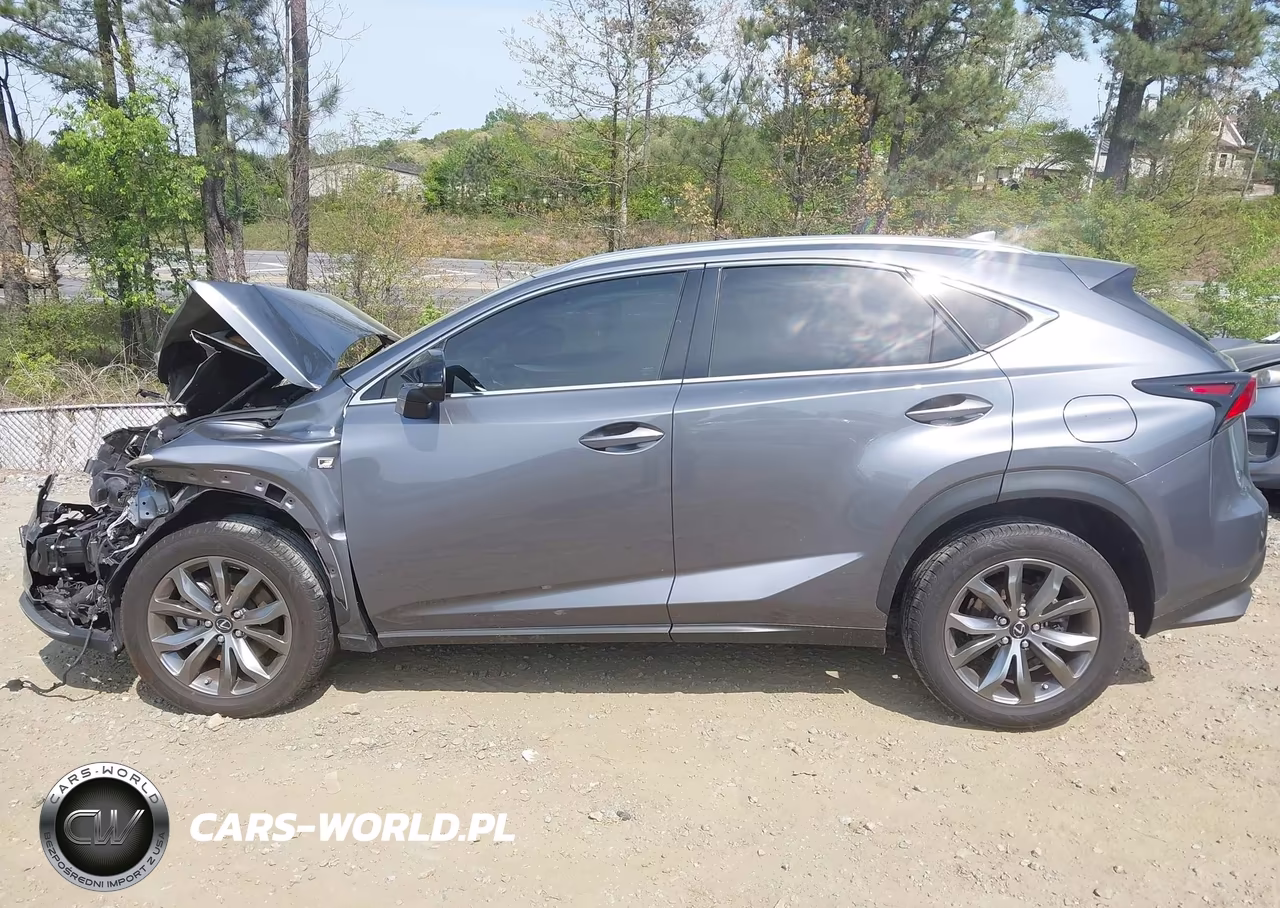 2021 Lexus Nx 300 F Sport VIN:JTJSARBZ8M2199442 - 14