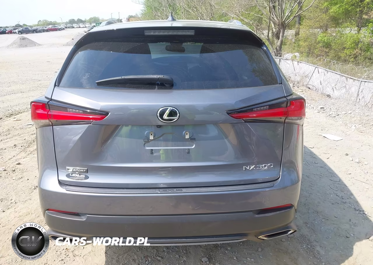 2021 Lexus Nx 300 F Sport VIN:JTJSARBZ8M2199442 - 16