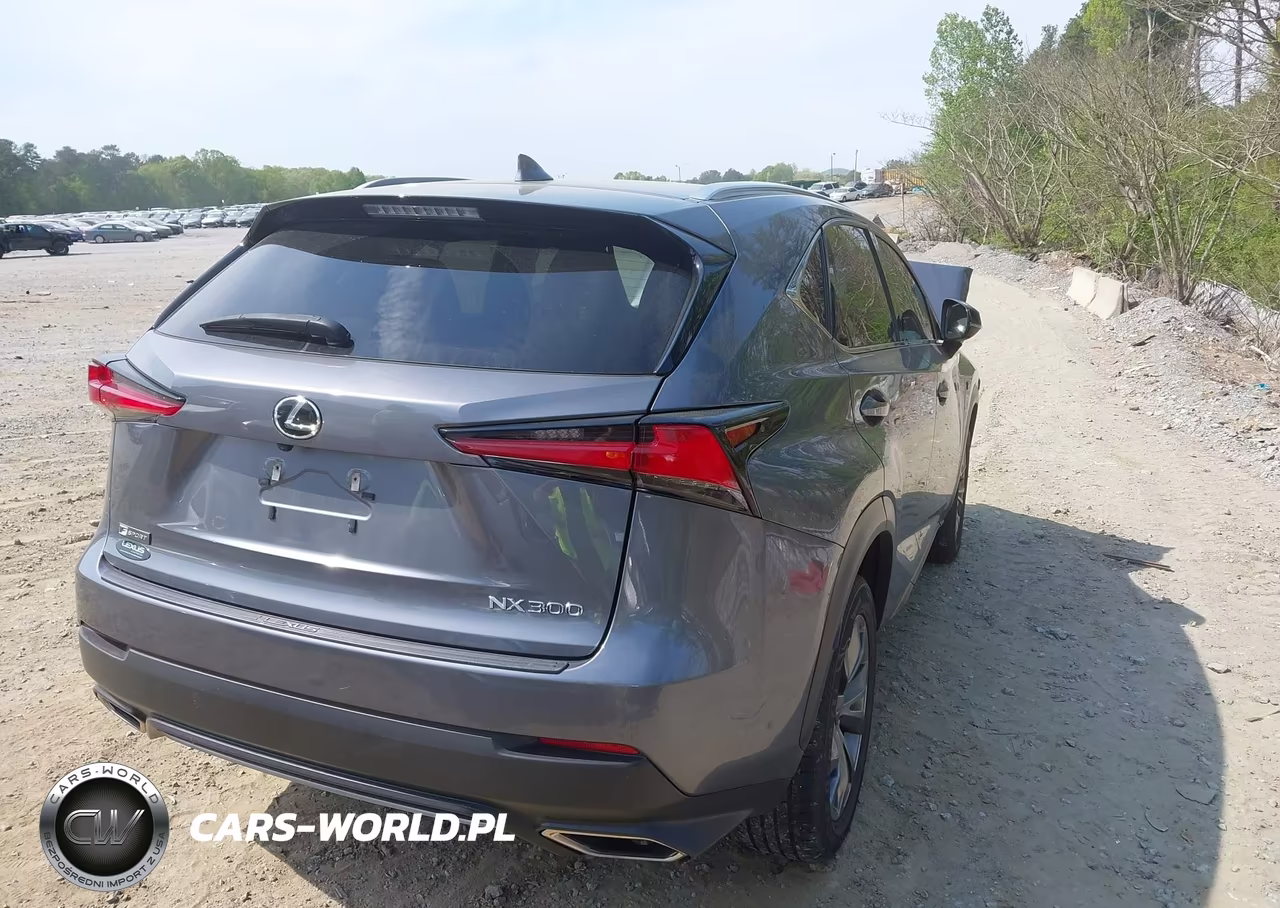 2021 Lexus Nx 300 F Sport VIN:JTJSARBZ8M2199442 - 4