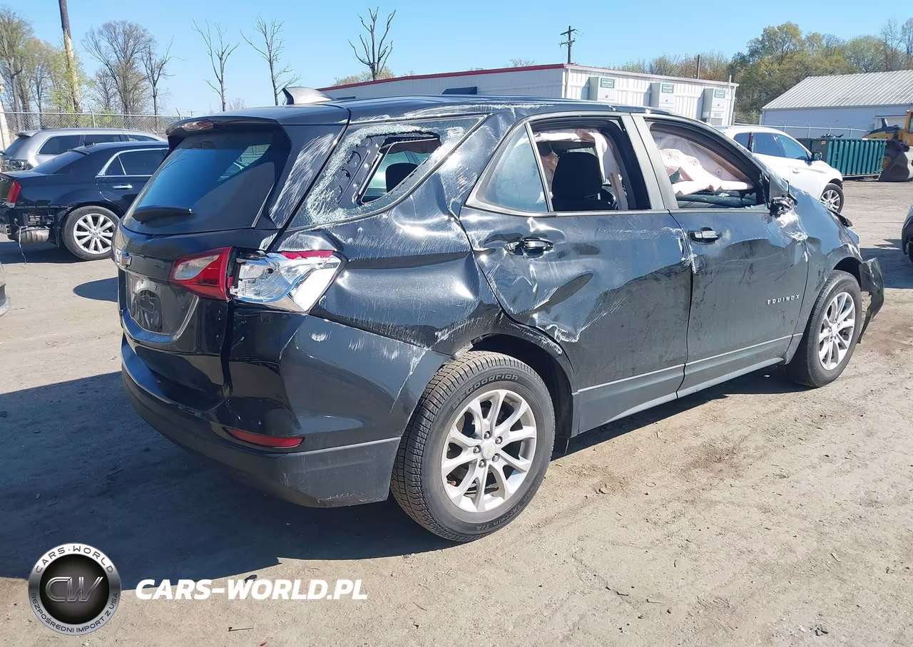 2020 Chevrolet Equinox Fwd Ls VIN:2GNAXHEV8L6214305 - 4