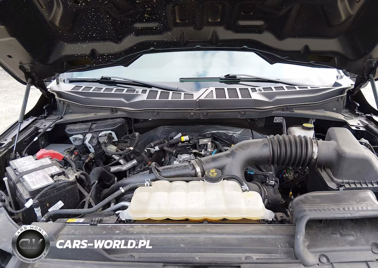 2023 Ford F-150 Xl VIN:1FTEW1EP1PFB36807 - 10