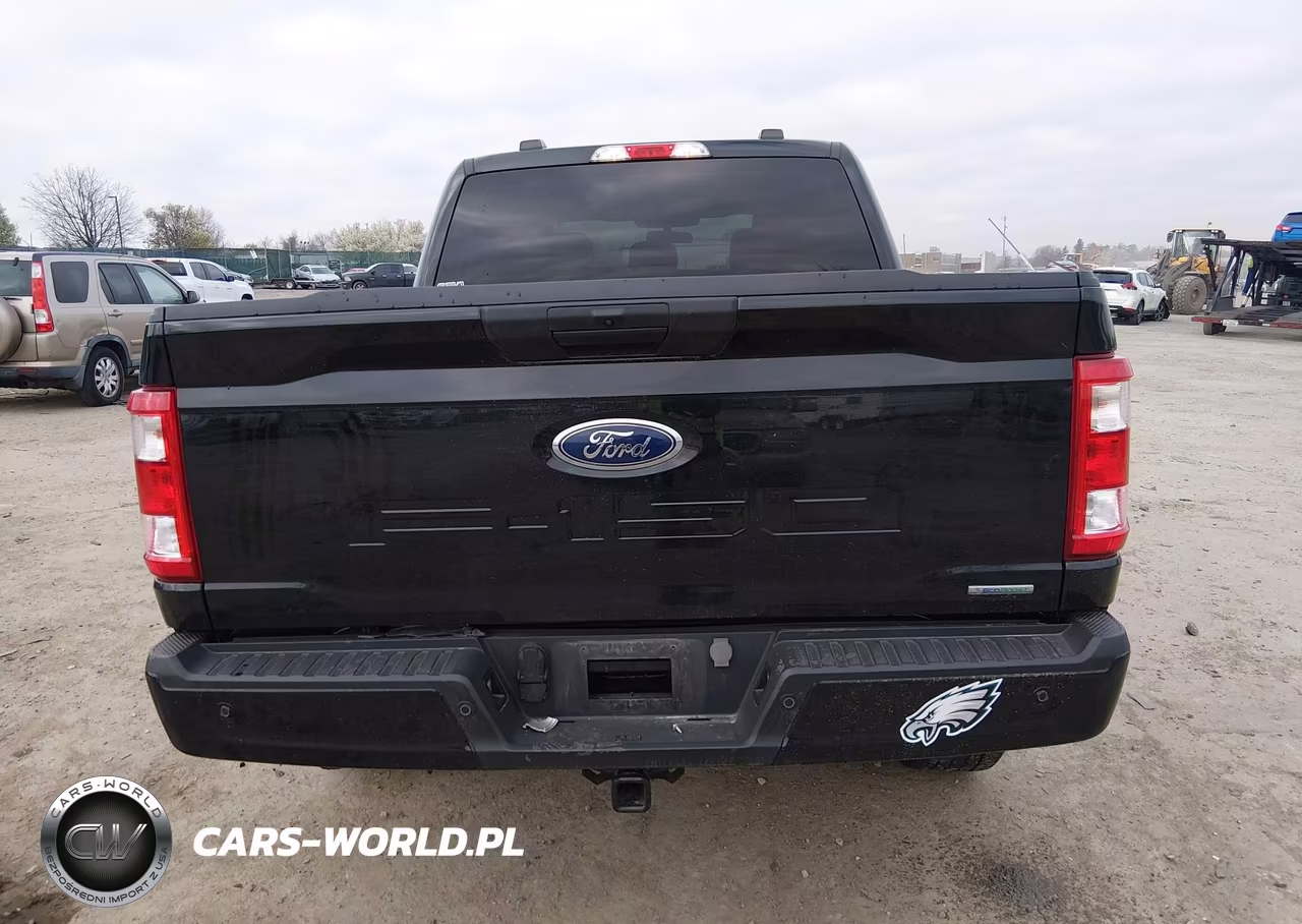 2023 Ford F-150 Xl VIN:1FTEW1EP1PFB36807 - 16