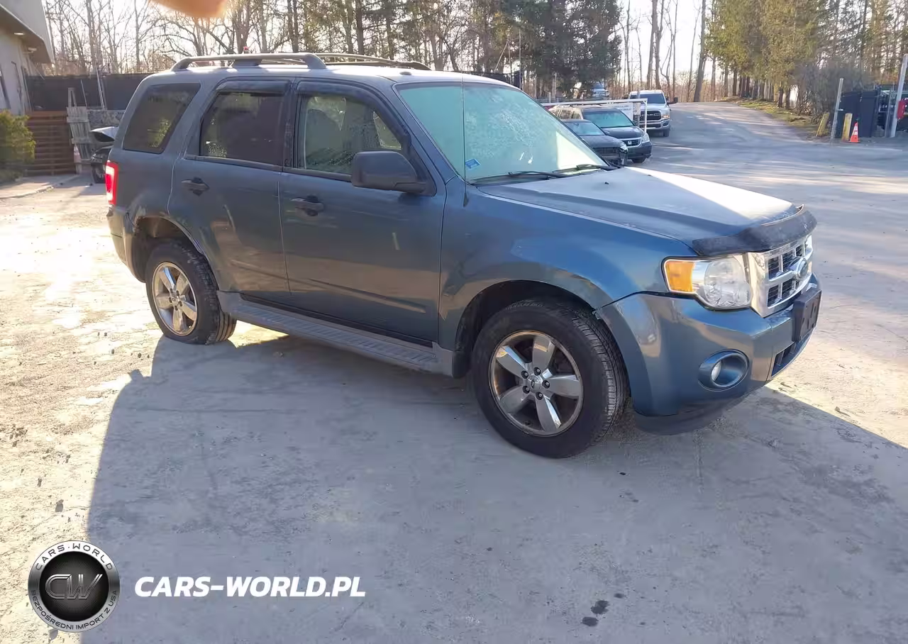 2010 Ford Escape Xlt