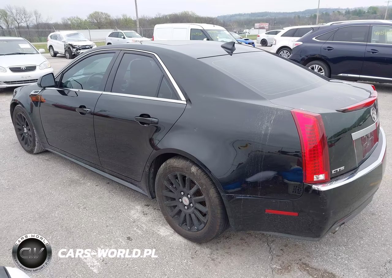 2010 Cadillac Cts Luxury VIN:1G6DE5EG5A0140054 - 3