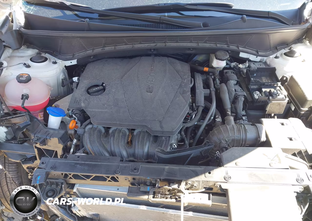 2024 Hyundai Tucson Sel VIN:5NMJBCDE8RH314630 - 10