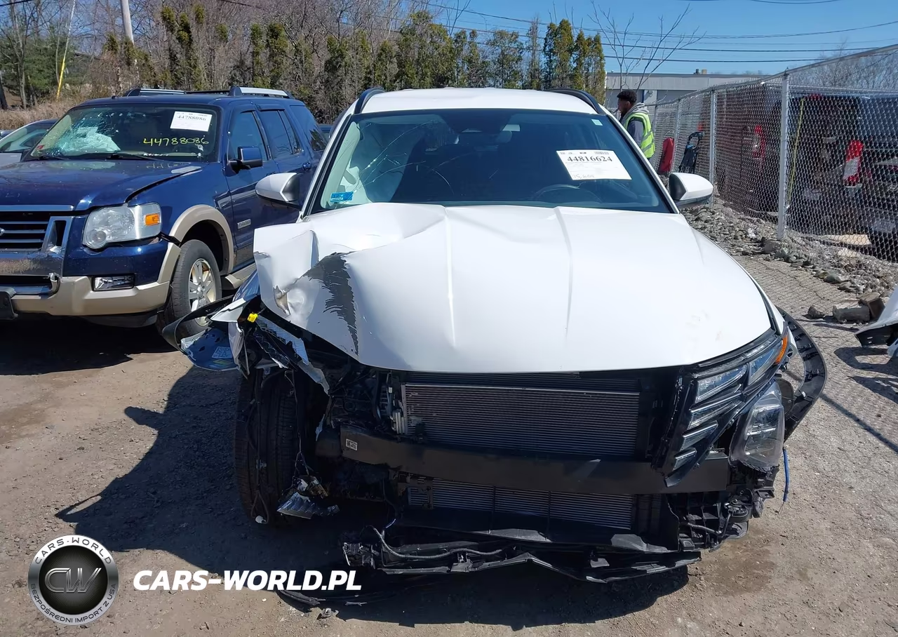 2024 Hyundai Tucson Sel VIN:5NMJBCDE8RH314630 - 12