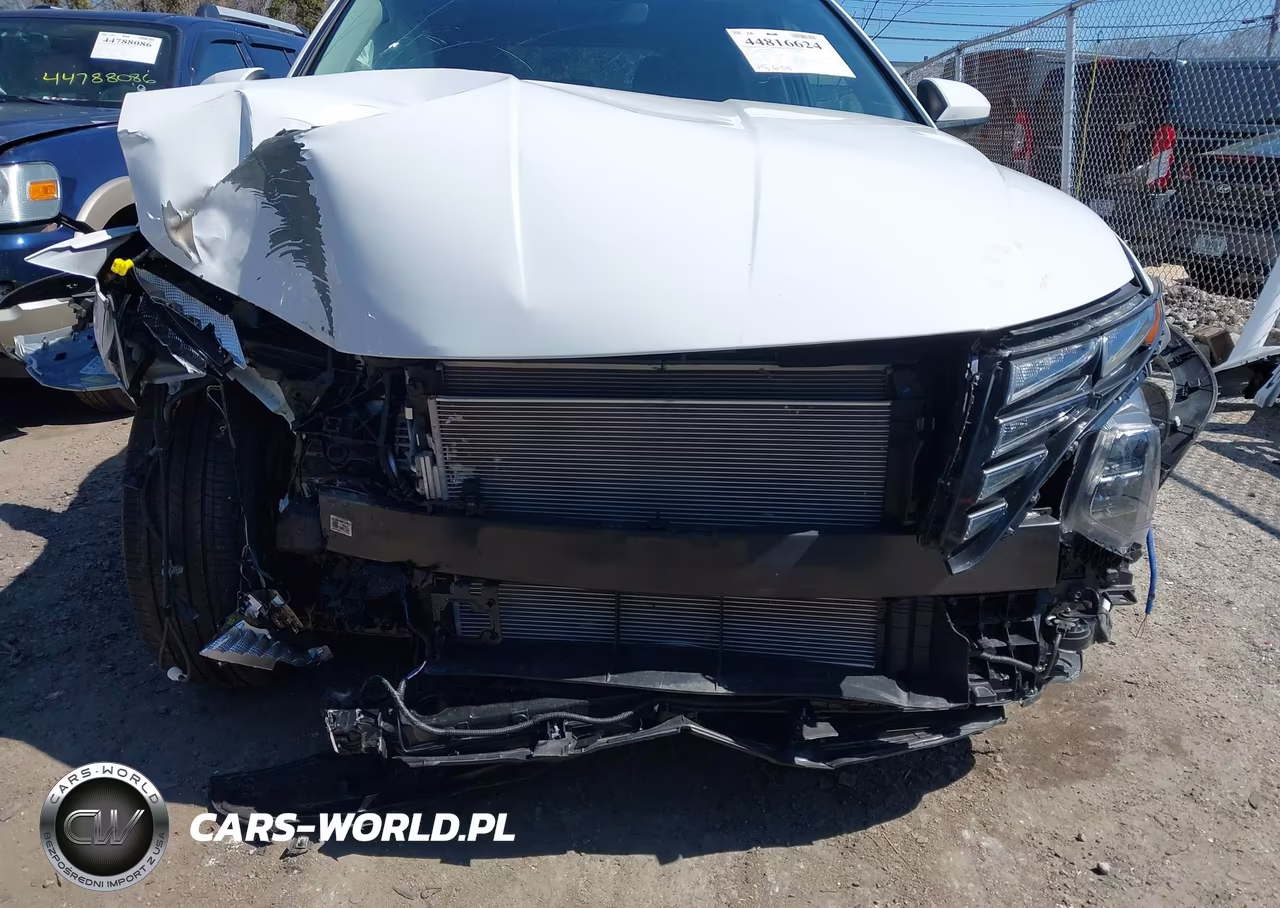 2024 Hyundai Tucson Sel VIN:5NMJBCDE8RH314630 - 6