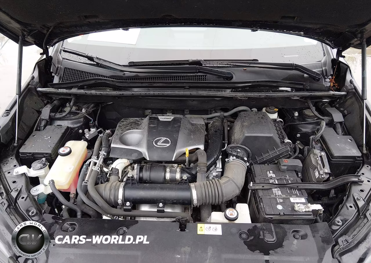 2017 Lexus Nx 200T VIN:JTJBARBZXH2126675 - 10