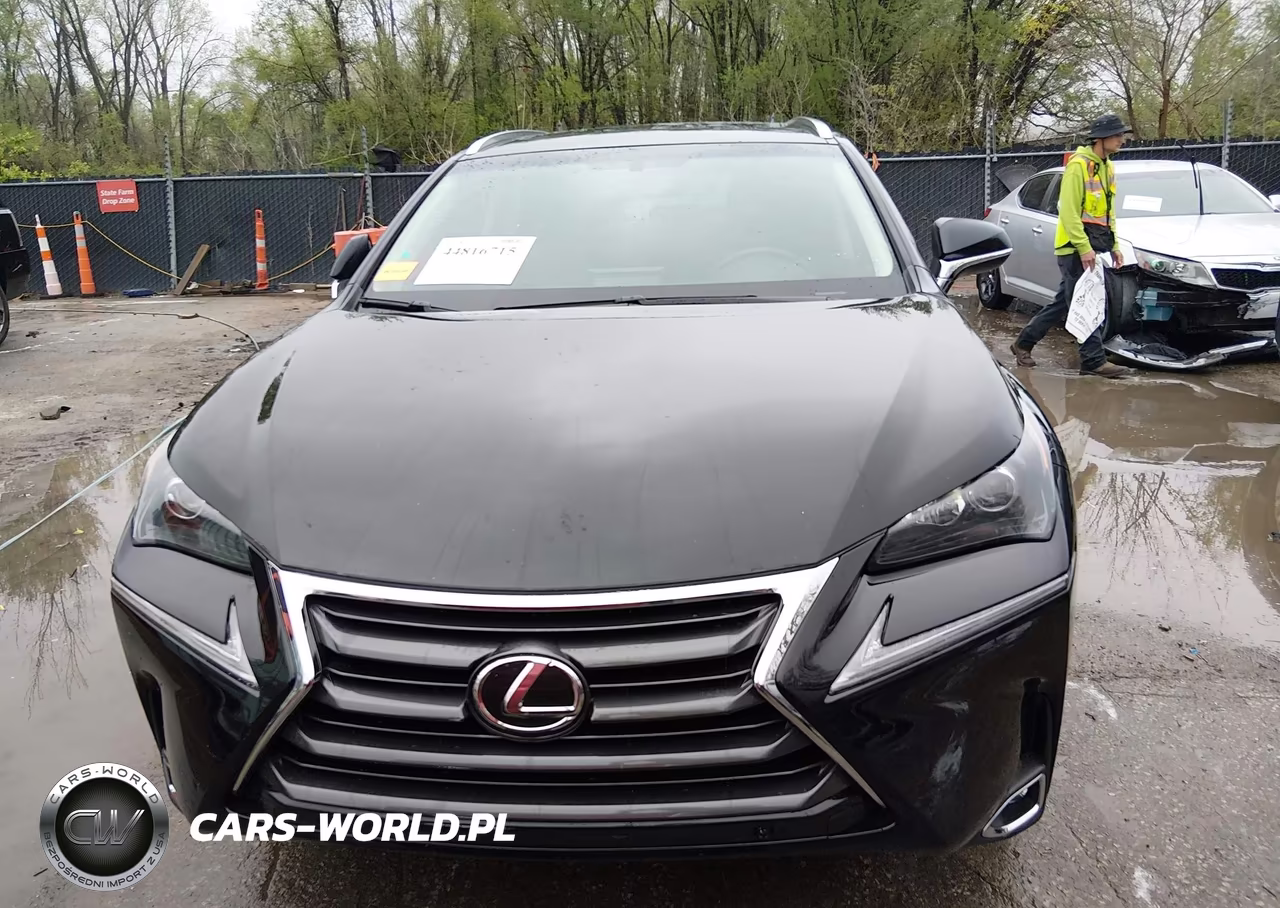 2017 Lexus Nx 200T VIN:JTJBARBZXH2126675 - 13
