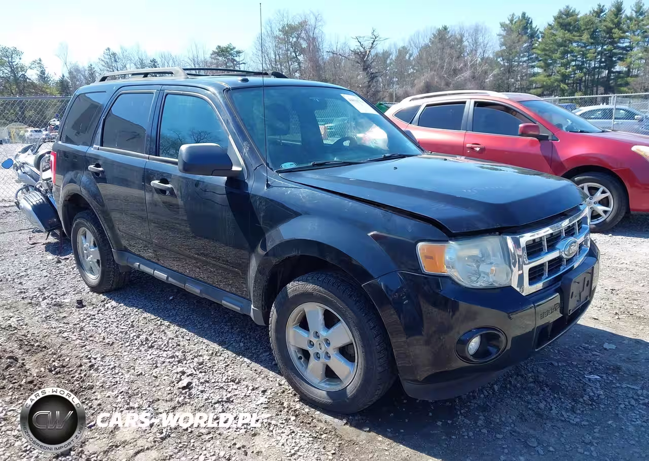2010 Ford Escape Xlt
